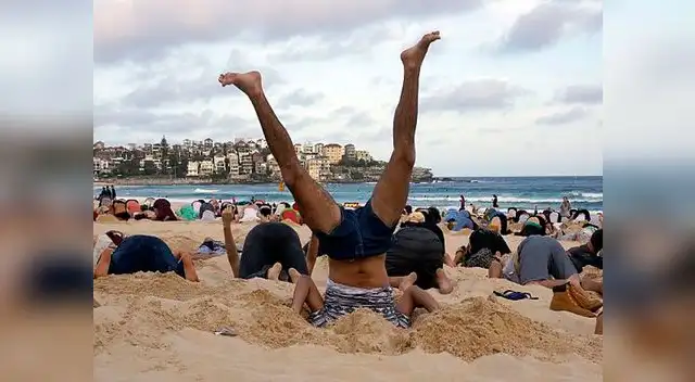 Australia: Ecologistas imitan a las avestruces para protestar contra el gobierno
