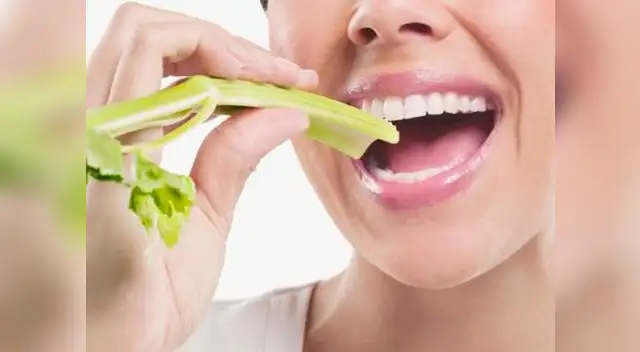 Son vegetales ricos en vitaminas, minerales y agua. Fomenta su consumo en casa.