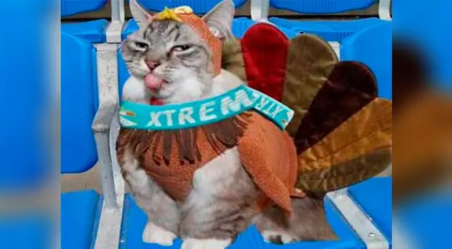 Memes calientan previa del Sporting Cristal vs. Alianza Lima en las redes sociales. Memes calientan previa del Sporting Cristal vs. Alianza Lima en las redes sociales.