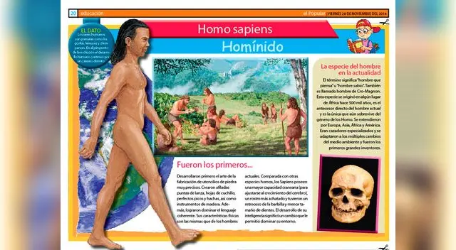 Homo sapiens: homínido. Homo sapiens: homínido.