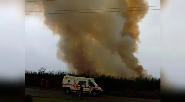 A Pantanos de Villa llegaron 17 unidades de bomberos para controlar el incendio.