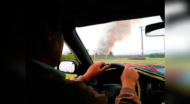 Fuerte incendio en Pantanos de Villa pone en peligro la vida silvestre del área.