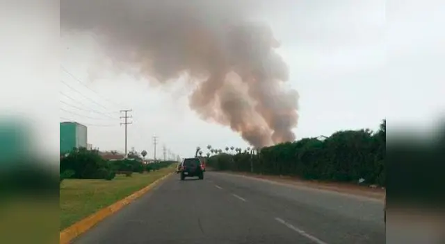 Fuerte incendio en Pantanos de Villa pone en peligro la vida silvestre del área.