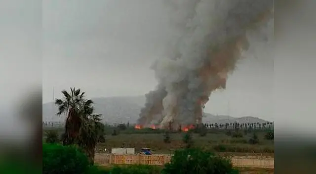 Fuerte incendio en Pantanos de Villa pone en peligro la vida silvestre del área.