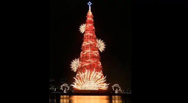El ornamento en todo su esplendor flotando en la laguna de Freitas. El ornamento en todo su esplendor flotando en la laguna de Freitas.