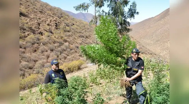 Los representantes del ministerio público auxiliados por la PNP.