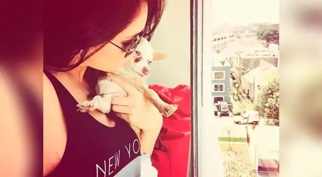 Jazmín Pinedo muestra sus encantos en Twitter. Jazmín Pinedo muestra sus encantos en Twitter.