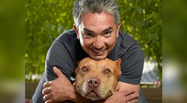 César Millán se convirtió en la nueva celebridad 'asesinada' por Twitter.