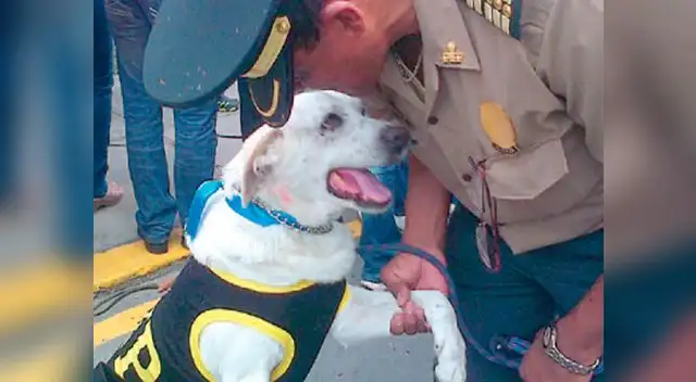 Estado de salud de 'Julio' empeoró debido a su edad.