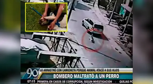 Perrito fue maltratado por bombero.