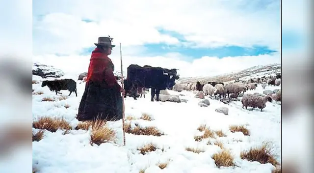 Desastres naturales.