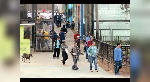 Homicida sorprendió a su amigo mirando a su chica desnuda después de sostener relaciones.