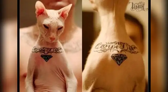 Inhumana tendencia de tatuar mascotas. 