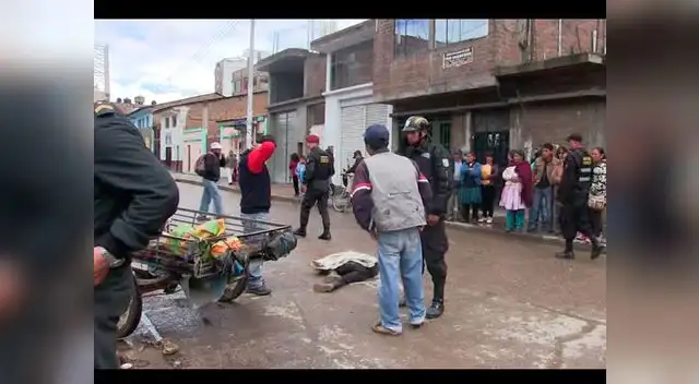 son frecuentes en carreteras y cobran nuevas vidas
