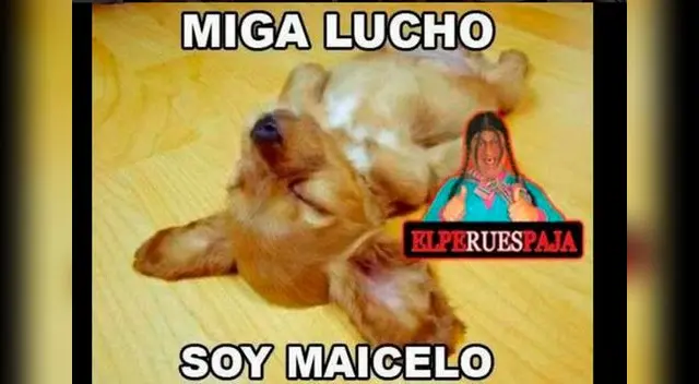 Memes de su derrota ante Darleys Pérez. 