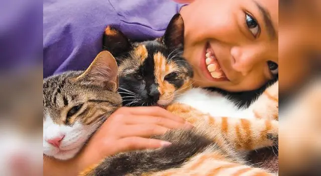 Los antiguos egipcios habrían sido los primeros en domesticarlos, hace cuatro mil años Los antiguos egipcios habrían sido los primeros en domesticarlos, hace cuatro mil años