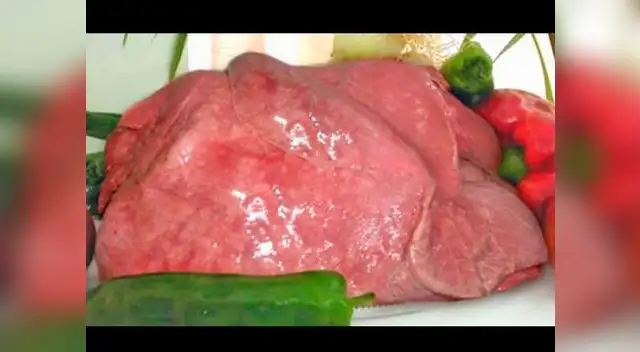 El bofe es una víscera nutritiva.