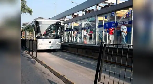 se llevaron tubos de protección.