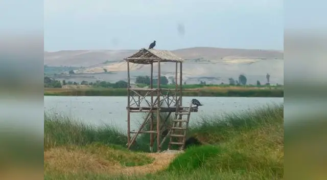 Lagunas de Mejía en Arequipa. Lagunas de Mejía en Arequipa.