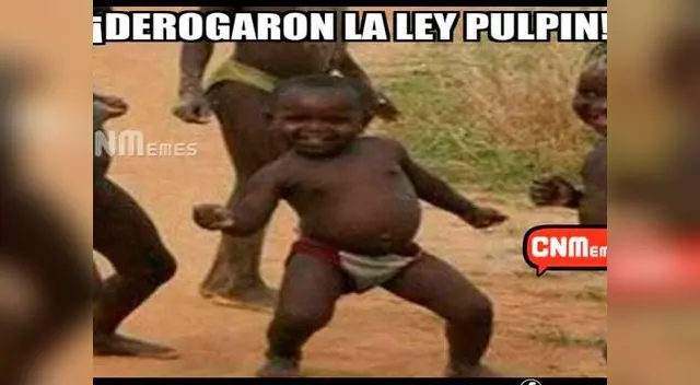 Ley Pulpín. Llegaron los memes. ¡A celebrar! Ley Pulpín. Llegaron los memes. ¡A celebrar!