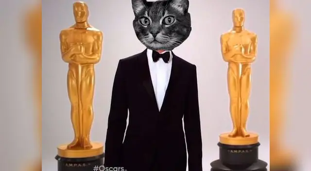 Memes del Oscar 2015