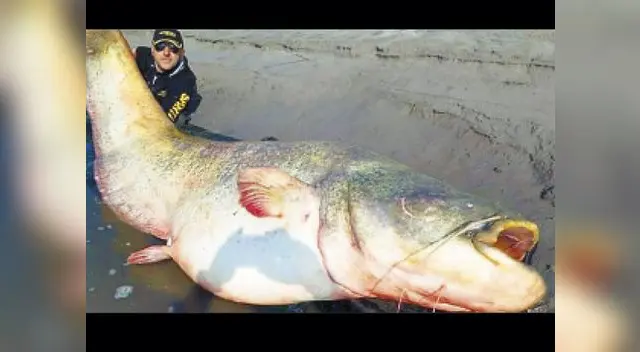 Imágenes causan sorpresa en el mundo entero.