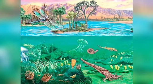 Duró unos 315 millones de años