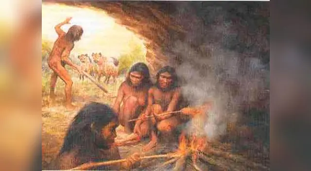 Edad de los mamíferos