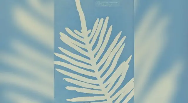 Polypodium Aureum, un helecho epífito reportado por Anna Atkins. 