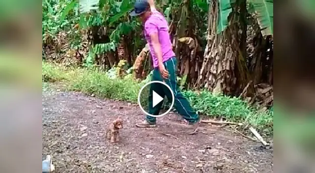 Advertencia: imágenes pueden herir la susceptibilidad de algunas personas.