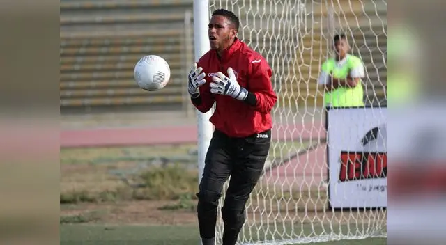 Dice van a pelear sin descanso. Dice van a pelear sin descanso.