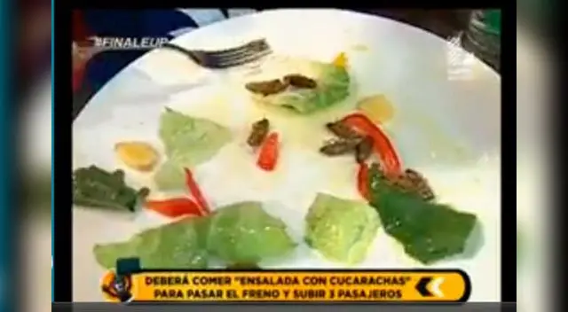 Estas son las cucarachas que tuvo que comer Lalo. Estas son las cucarachas que tuvo que comer Lalo.