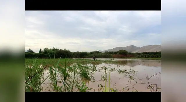 Derrumbe y desborde de río deja aisladas localidades de Ica y Cañete 
