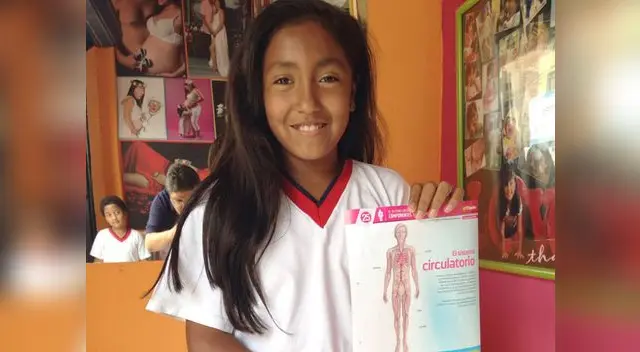 Tus hijos podrán aprender de manera muy sencilla sobre el funcionamiento de las arterias y venas. Tus hijos podrán aprender de manera muy sencilla sobre el funcionamiento de las arterias y venas.