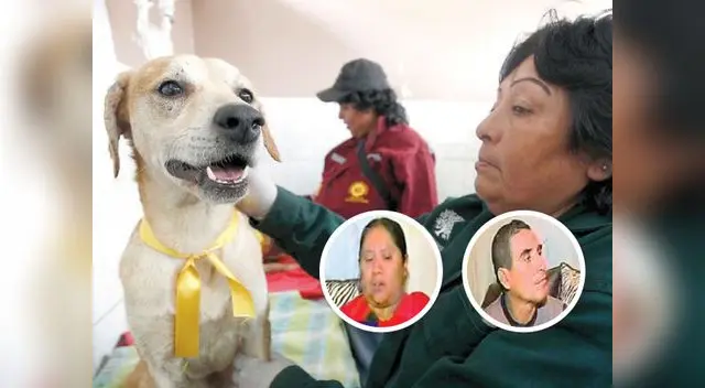 Canes son atendidos en centro especializado de unmsm, donde desmintieron a dueña y dueño de mascotas. Canes son atendidos en centro especializado de unmsm, donde desmintieron a dueña y dueño de mascotas.