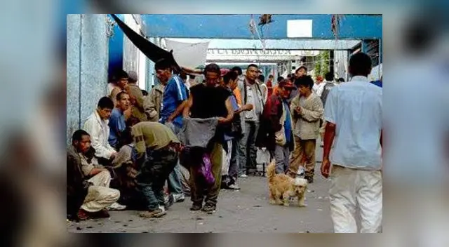 denuncian violaciones a perras en penal de Lurigancho