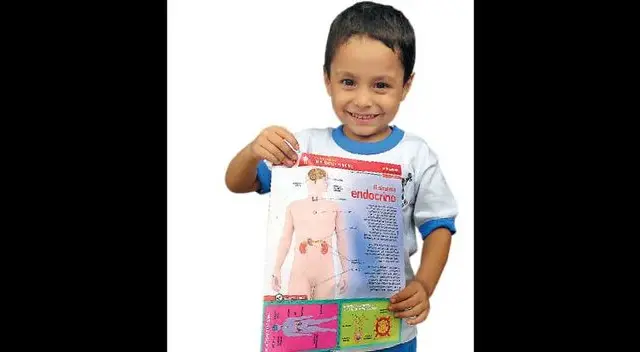 Este material ayudará a tus hijos a sacarse 20 en el colegio. Este material ayudará a tus hijos a sacarse 20 en el colegio.