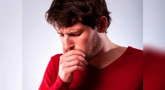 Incluye el ajo y la cebolla en tus comidas, reforzarás tu organismo. Incluye el ajo y la cebolla en tus comidas, reforzarás tu organismo.