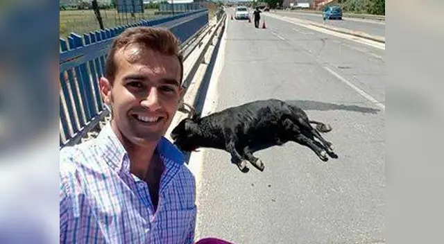 Sergio Blasco y la gran pregunta: ¿Le pareció gracioso retratarse delante del cadáver de un toro?