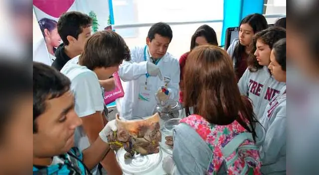 La facultad de Farmacia y Química cuenta con maquetas tipo CSI La facultad de Farmacia y Química cuenta con maquetas tipo CSI