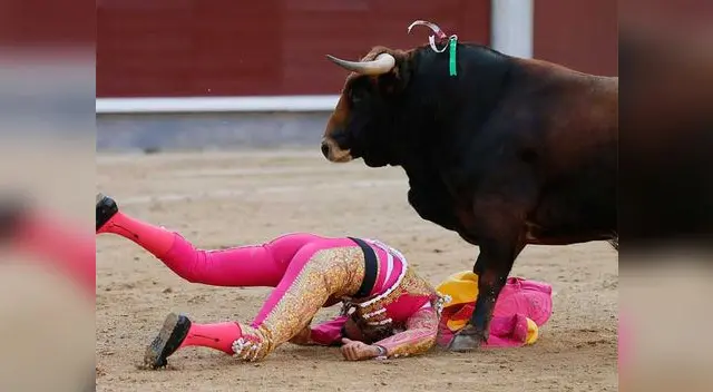 Joaquín Galdós y el toro que le dio terrible cornada. Se salvó por poco. Joaquín Galdós y el toro que le dio terrible cornada. Se salvó por poco.
