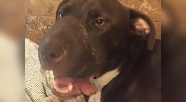 Caitlyn se recupera satisfactoriamente. 