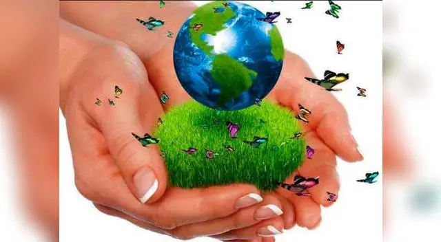 (Fuente: plataforma.edu)