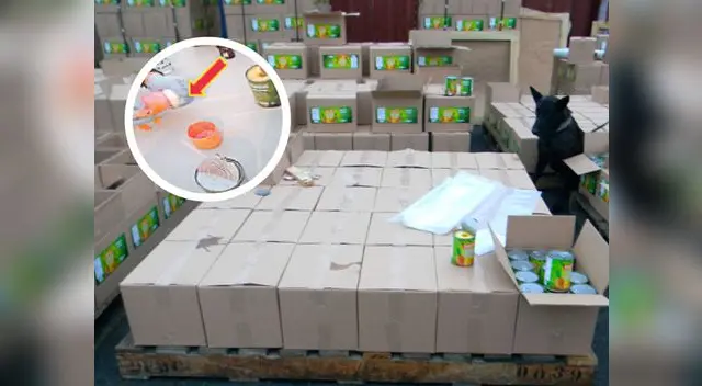 La droga estaba en latas revestidas con cera y envuelta en bolsas.