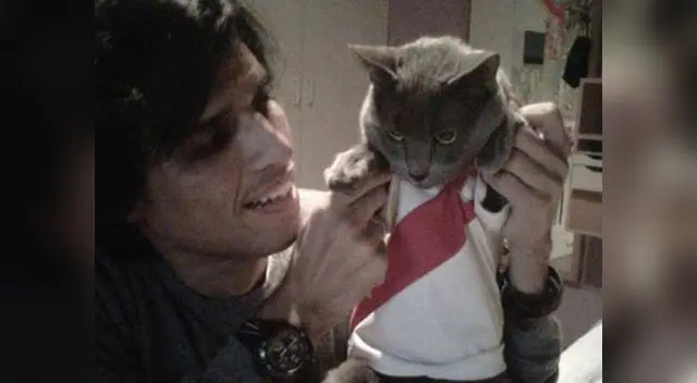 Cantante ama a los felinos Cantante ama a los felinos