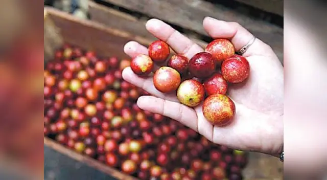 No exponer el alimento por mucho tiempo a la luz ya que se pierden las vitaminas.