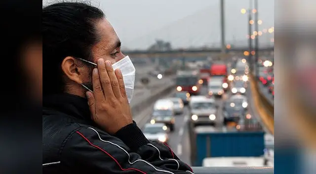 Cultiva plantas en casa para que estas absorban el co2 del ambiente