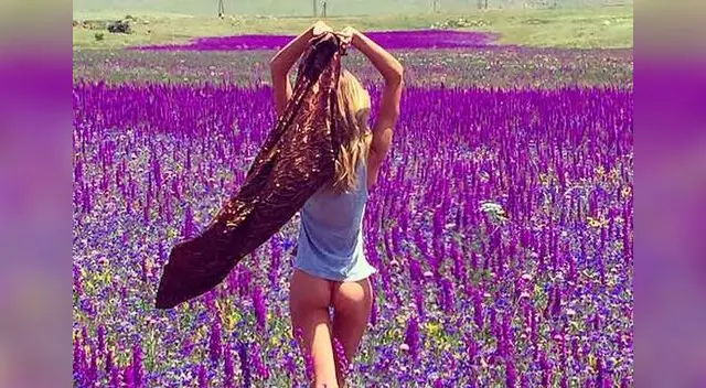 Miley Cyrus y la modelo Stella Maxwell. 