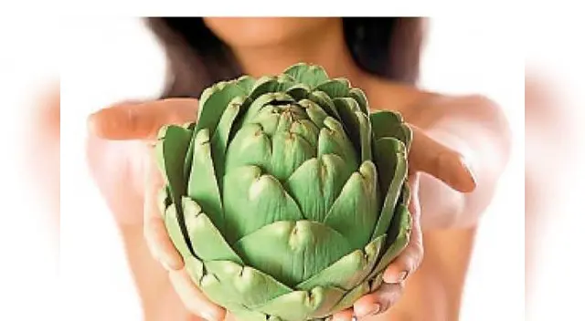 Contienen buena cantidad de carbono, proteínas y ácidos grasos. 