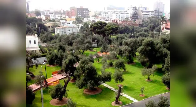 'El Olivar' es uno de los pulmones de Lima 'El Olivar' es uno de los pulmones de Lima